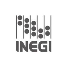 Open Government, Mexico favicon
