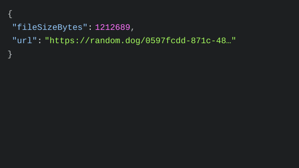 RandomDog's website screenshot