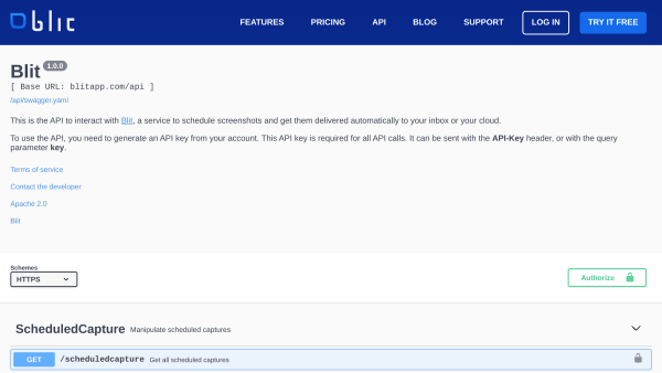 Blitapp's website screenshot