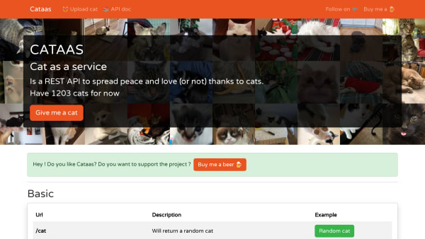 Cataas's website screenshot