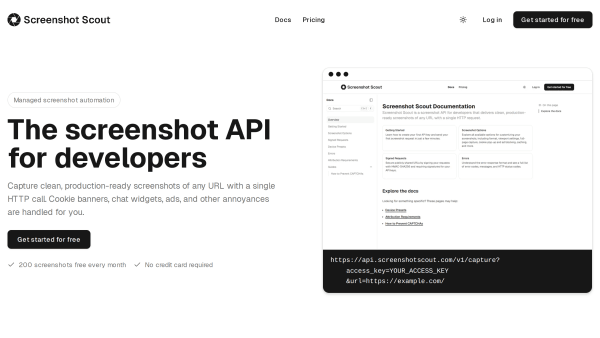 Screenshot Scout's website screenshot