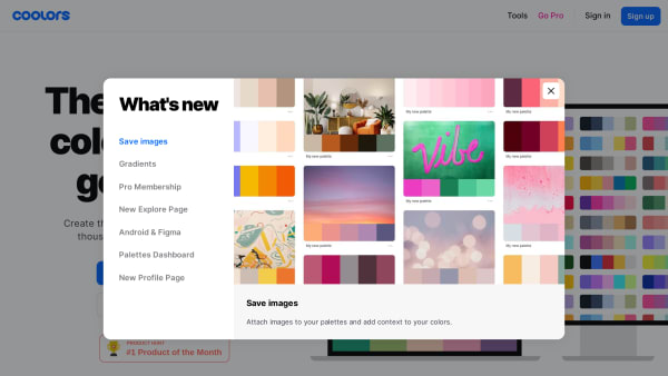 Coolors's website screenshot