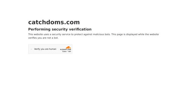 CatchDoms's website screenshot
