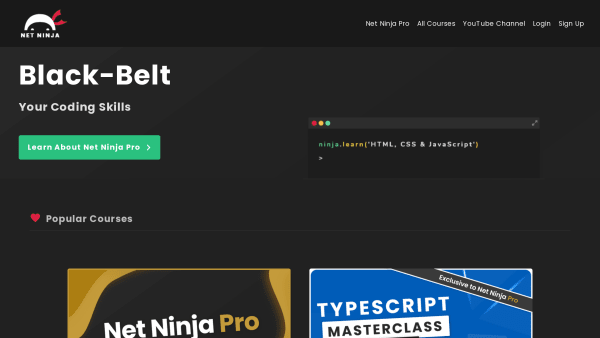 The Net Ninja's website screenshot