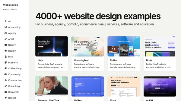 Websitevice's website screenshot