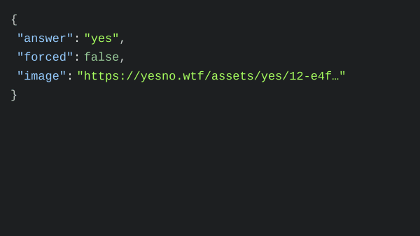 Yes No's website screenshot