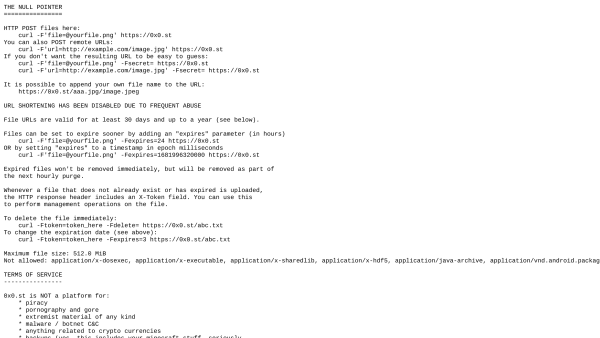 The Null Pointer's website screenshot