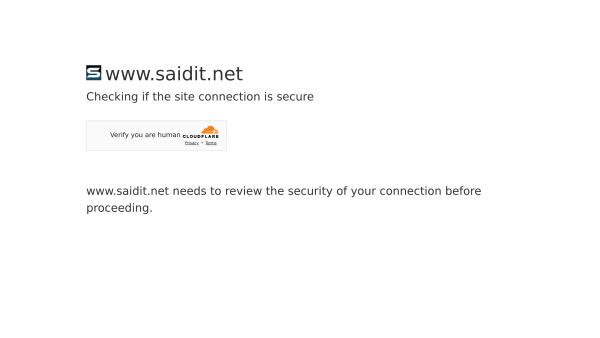 Saidit's website screenshot