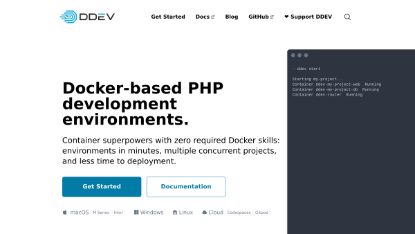 DDEV's website screenshot