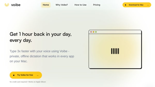 Voibe's website screenshot