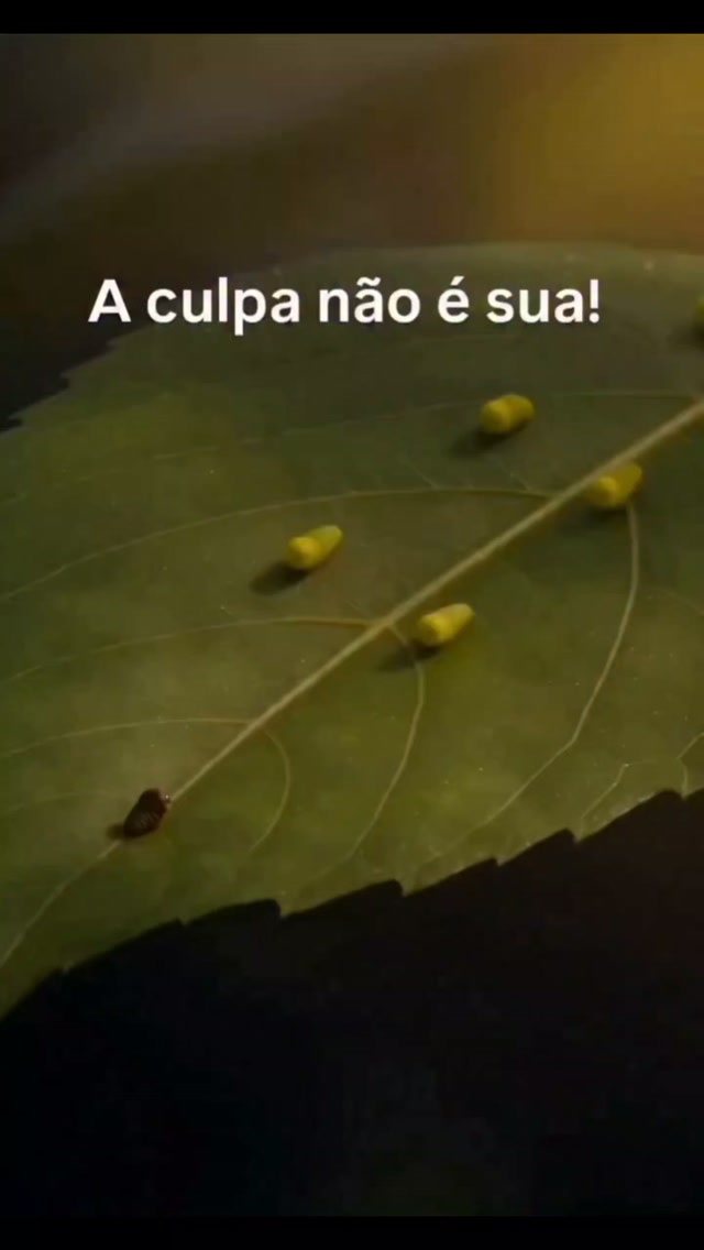 Ser rejeitada não significa que você não é suficiente. 

Exi
