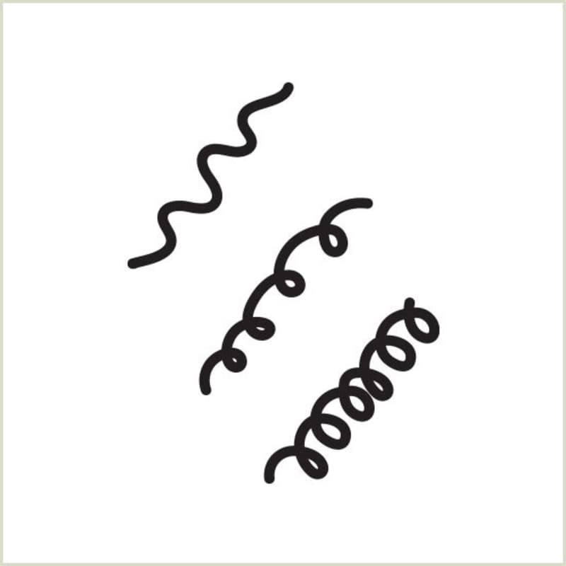 illustration of medium texture hair strands