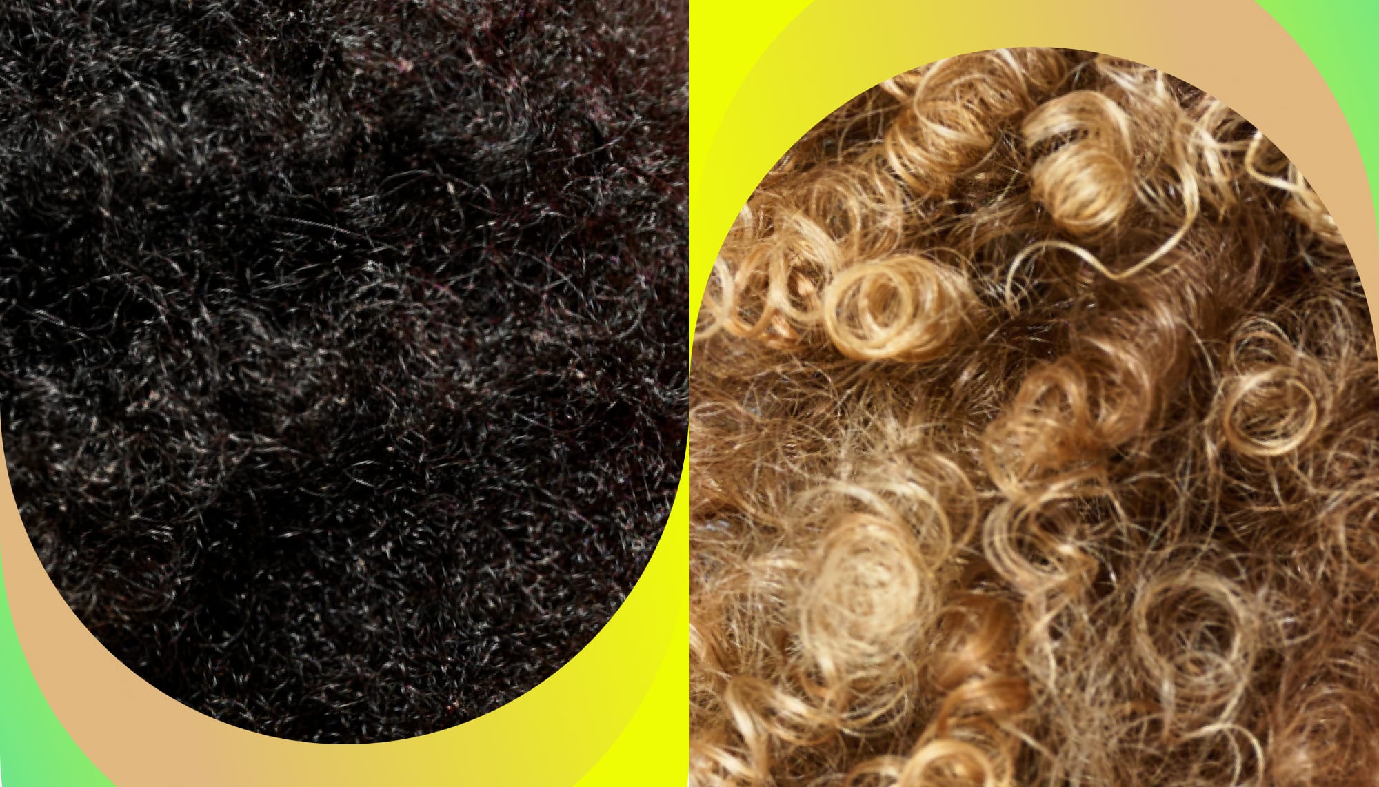 macro image of coily hair and curly texture