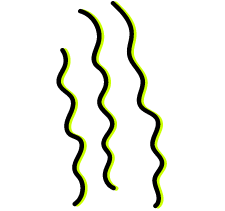 Lernen Sie Ihr Welliges Haar Richtig Kennen Und Zu Pflegen Devacurl