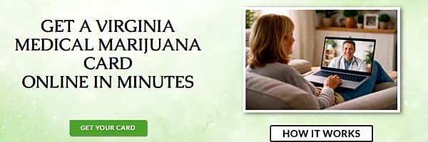 profile banner