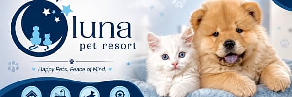 profile banner