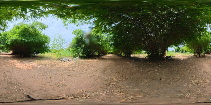 West Bamboo Tunnel 3