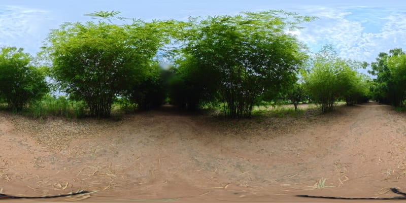 West Bamboo Tunnel 2
