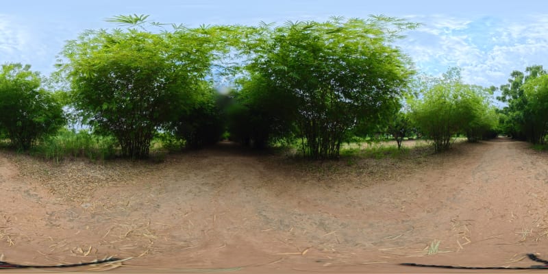 West Bamboo Tunnel 1