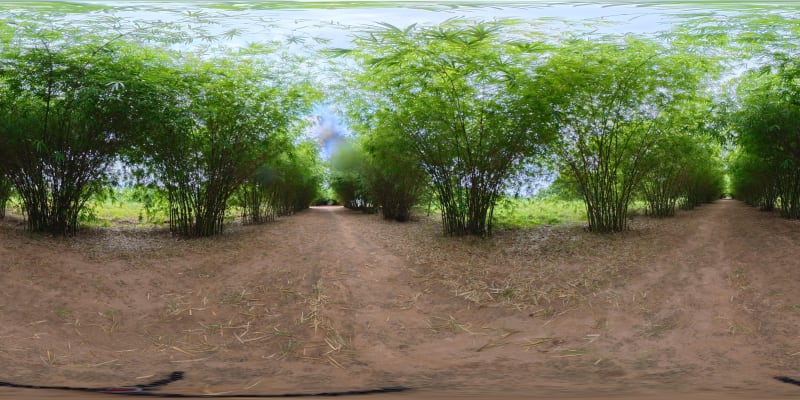 West Bamboo Tunnel 0