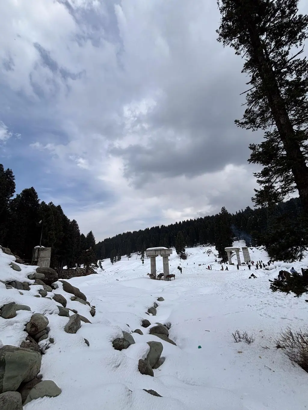 Kashmir
