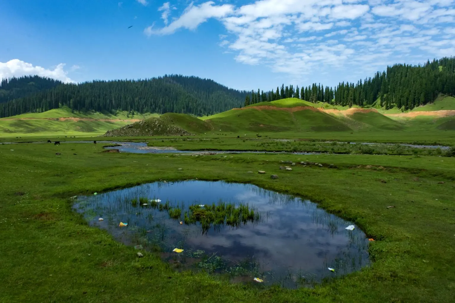 Bangus Valley