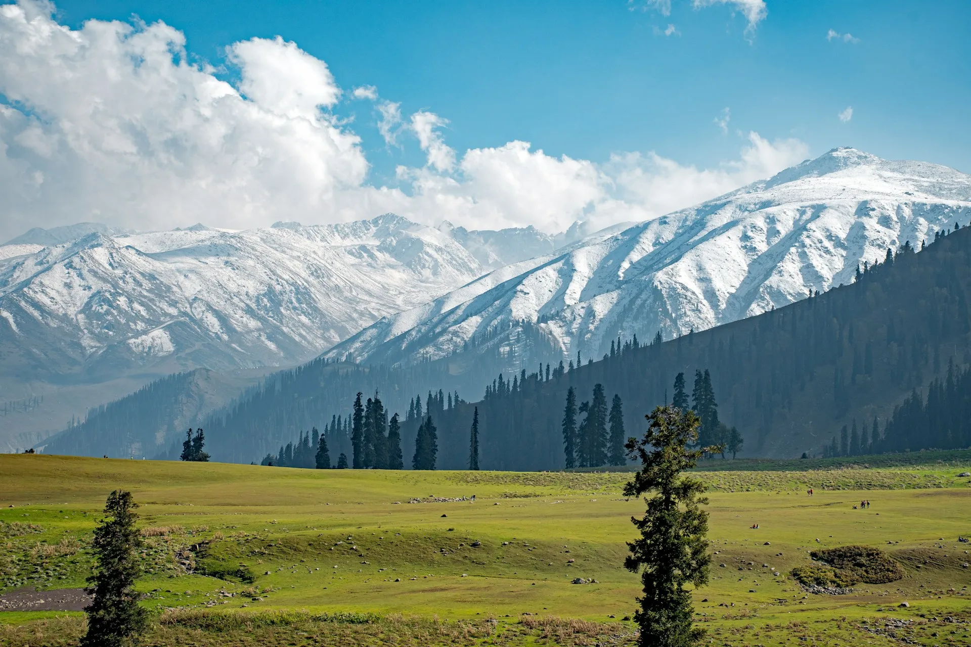 Ladakh Tour