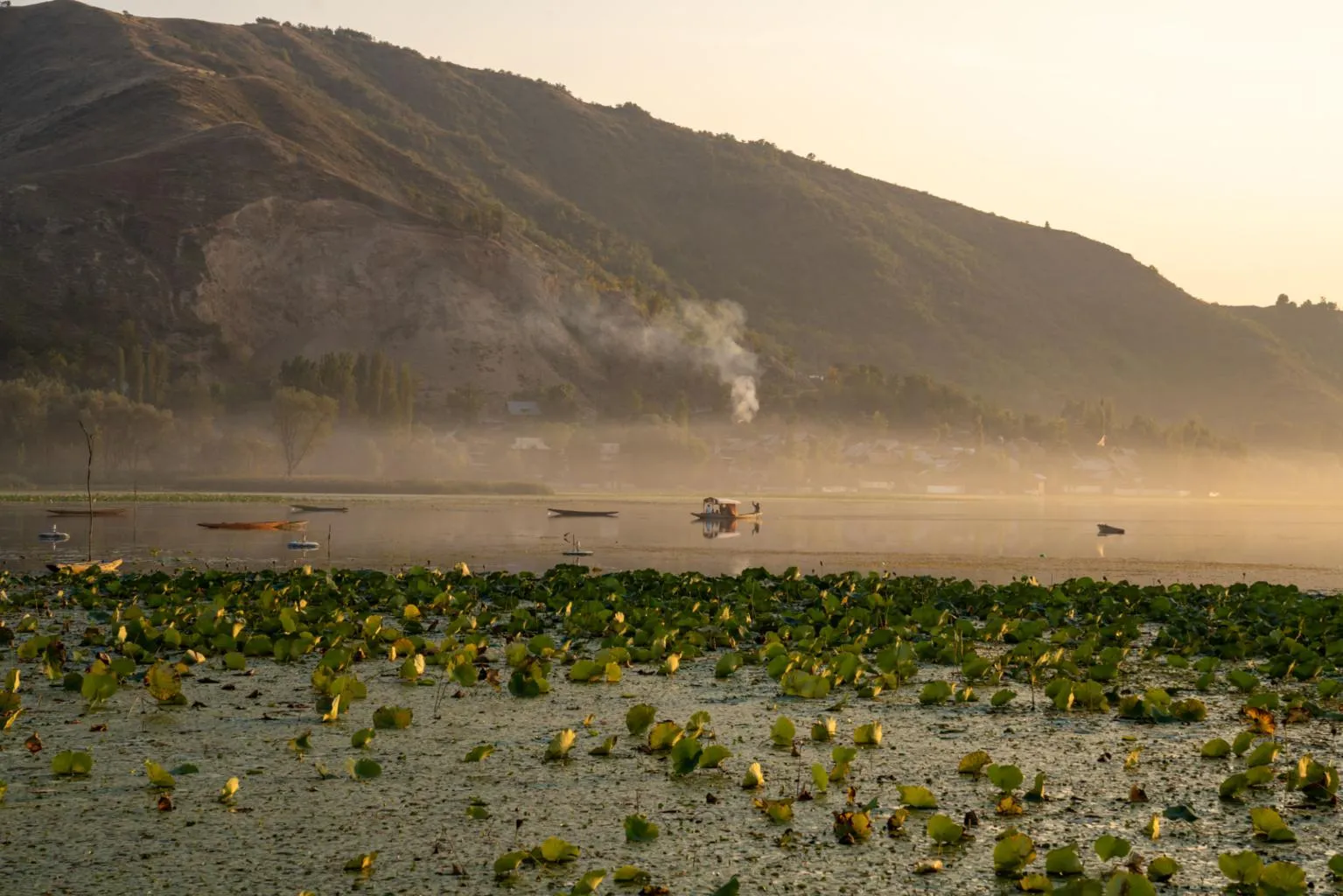 Kashmir