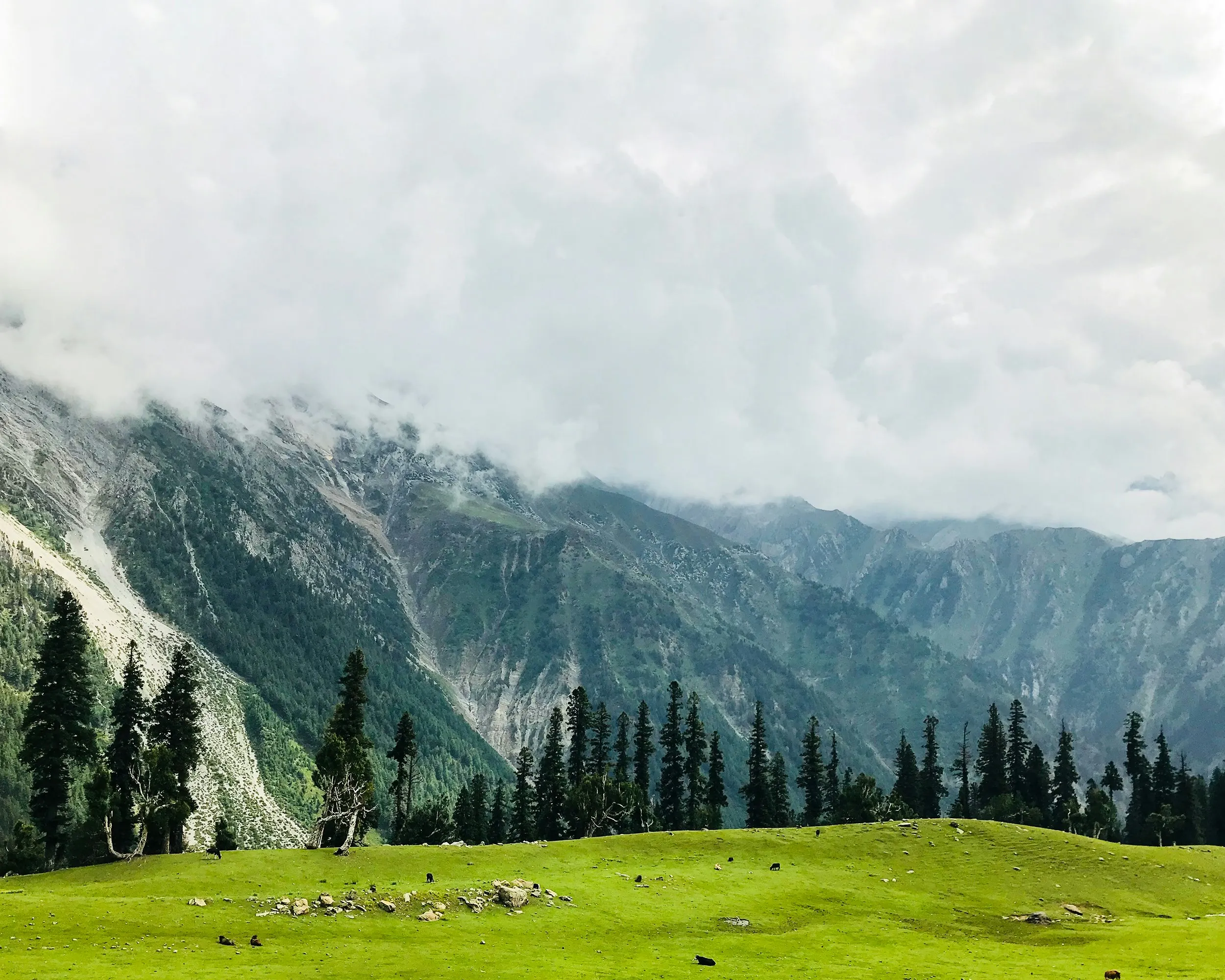 Kashmir Tour