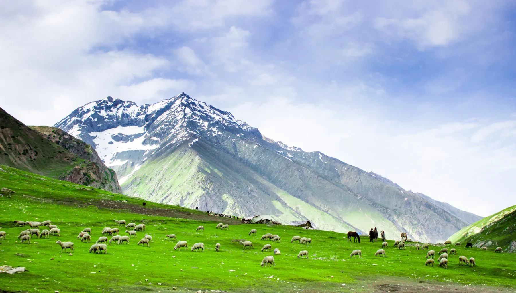 Kashmir