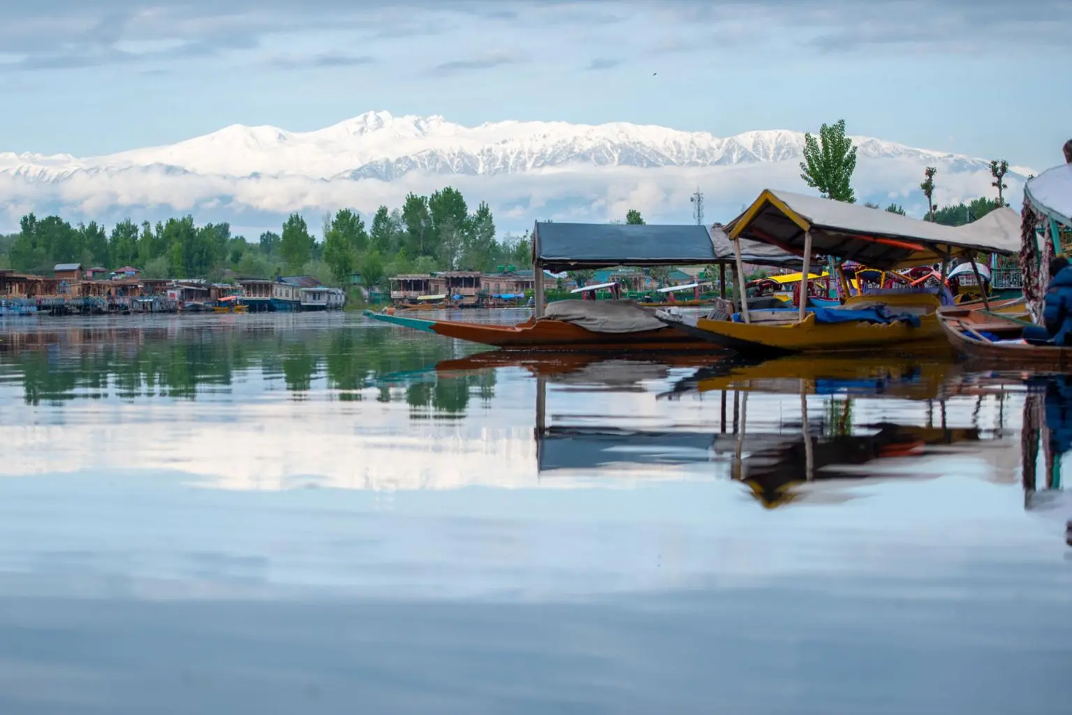 Kashmir