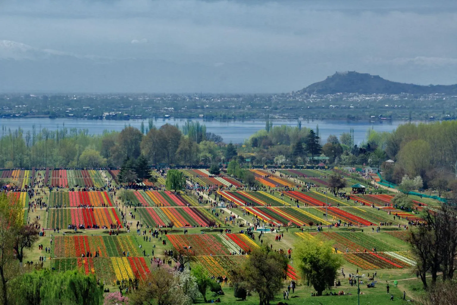 Kashmir