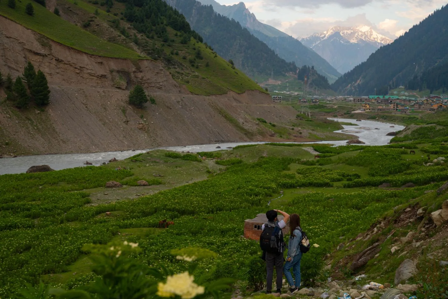Kashmir