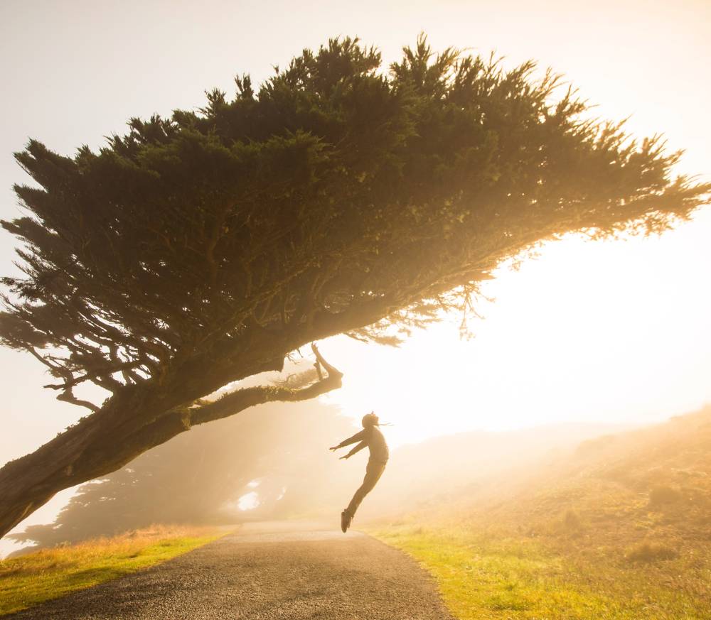 silhouette of person jumping under tree