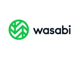 wasabi-aws-s3-alternative