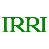 International Rice Research Institute (IRRI)