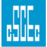 China State Construction Engineering Corporation Ltd. (CSCEC)