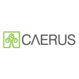 Caerus Associates