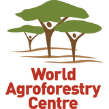 The Center for International Forestry Research and World Agroforestry (CIFOR-ICRAF)