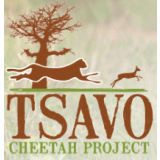 Tsavo Cheetah Project