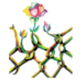 Colectivo De Abogados José Alvear Restrepo - "José Alvear Restrepo" Collective Bar Association (CCAJAR)