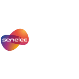Senegal National Electricity Agency (Senelec)