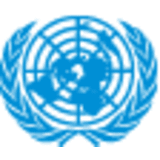 United Nations Security Council (UNSC)