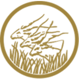 Bank of Central African States (BEAC)