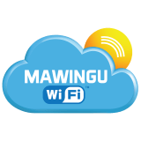 Mawingu Networks