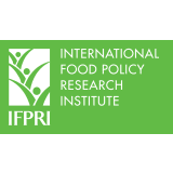 International Food Policy Research Institute (IFPRI)