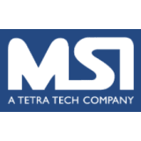 Management Systems International (MSI)