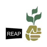 Rice Exporters Association of Pakistan (REAP)