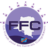 Fonds pour les Femmes Congolaises