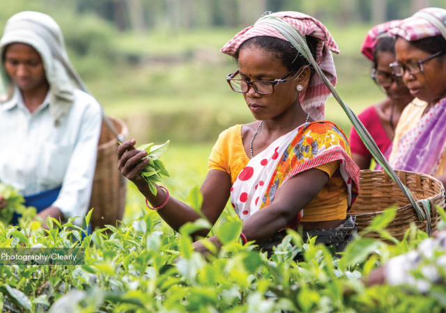 free prescription glasses for low income